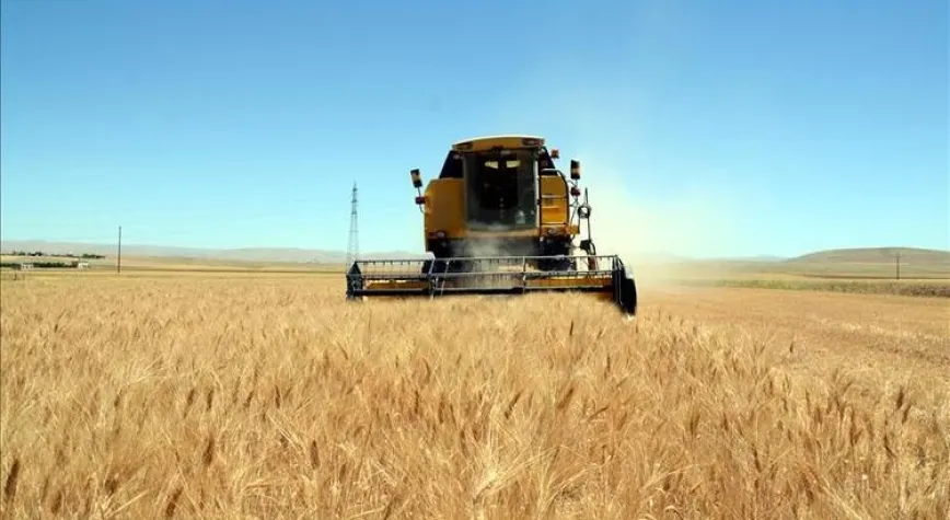 Hububatçıların gözü Afrika, Amerika ve Uzak Doğu pazarlarında