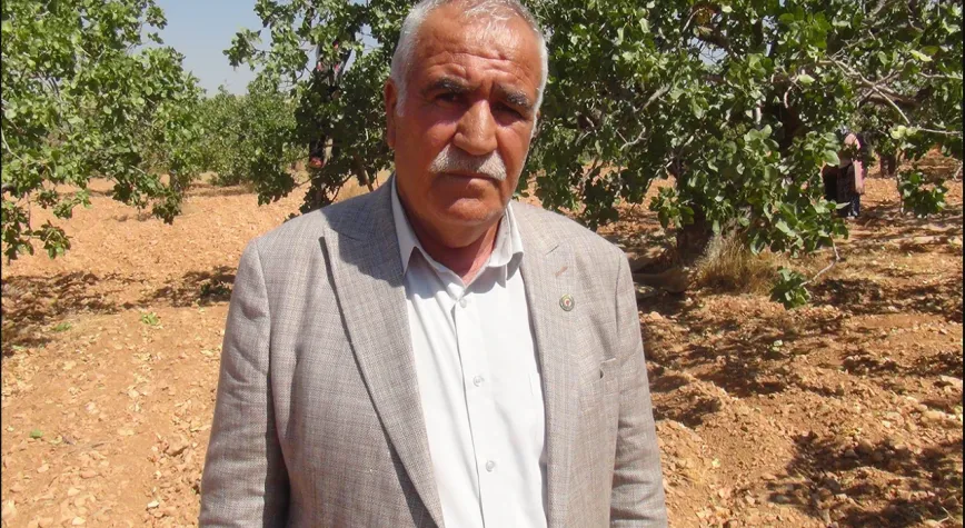Antepfıstığında Fiyat Tartışması Başladı: Üretici 700 TL Bekliyor