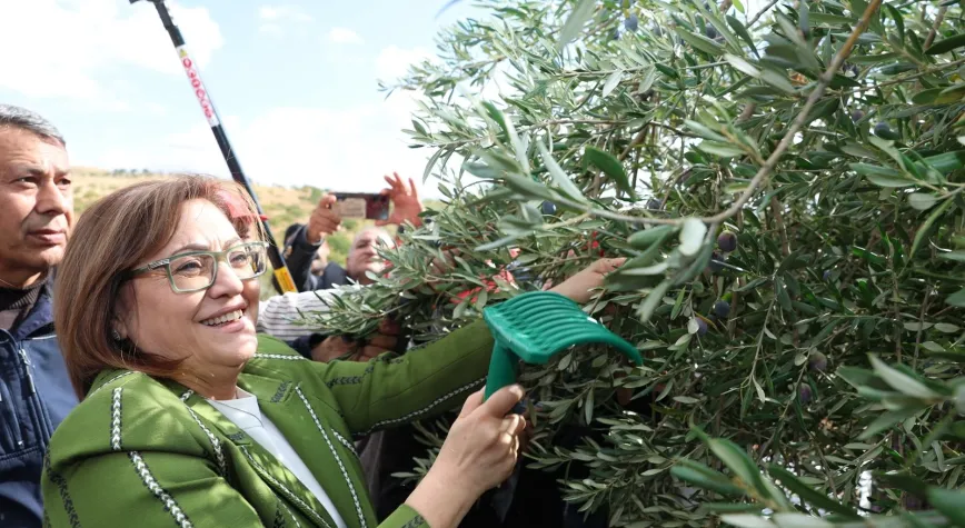 Başkan Şahin Nizip Zeytin Festivali’nde müjdeledi: “Nizip Çayı temizlenecek, yeni zeytin ve fıstık hali kurulacak”