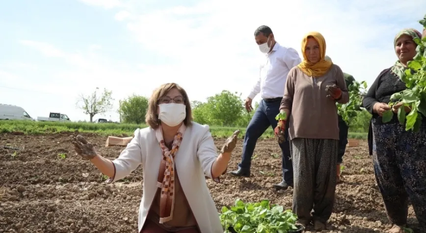 Başkan Şahin, Oğuzeli’nde tarıma verilen destekleri inceledi