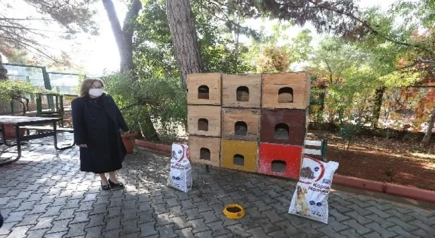 Büyükşehir, sokak hayvanlarına önemli bir çalışma