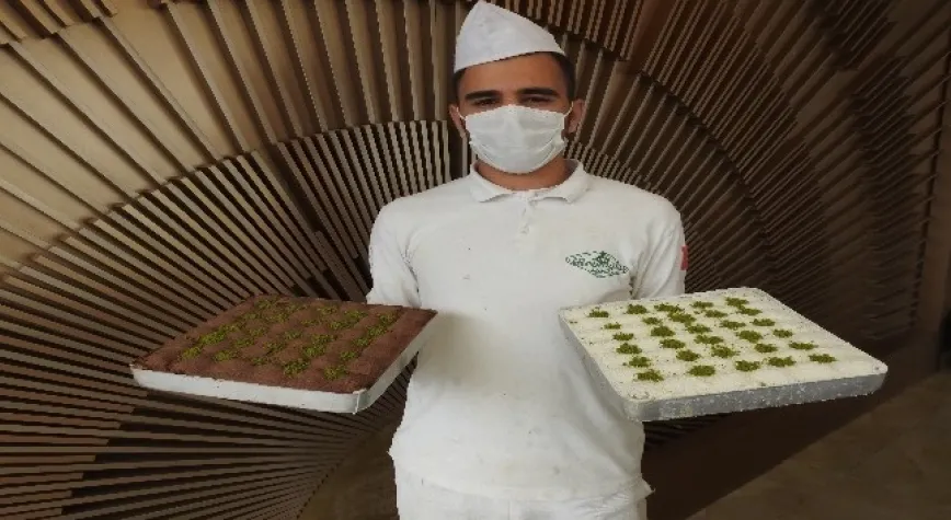 Gastronomi kentinde düşük kalorili lezzet: Soğuk baklava