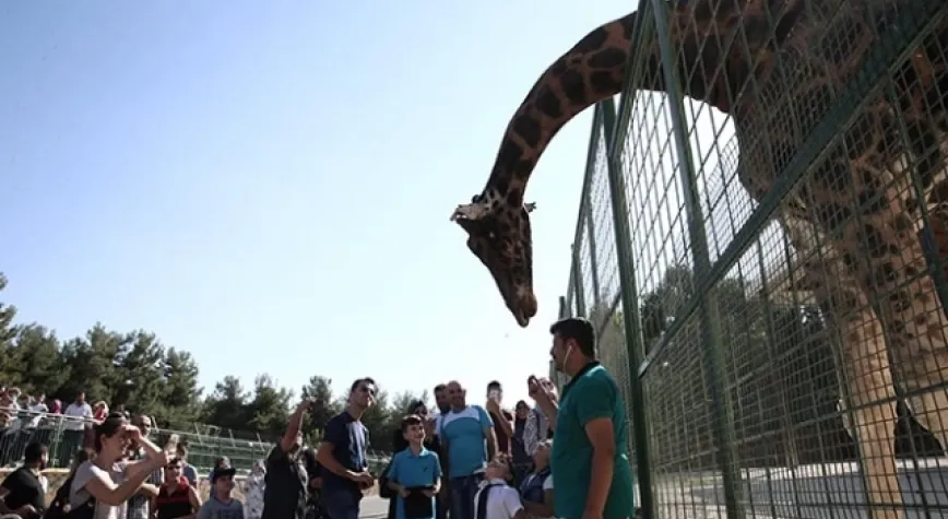 Gaziantep Hayvanat Bahçesi açılış için gün sayıyor