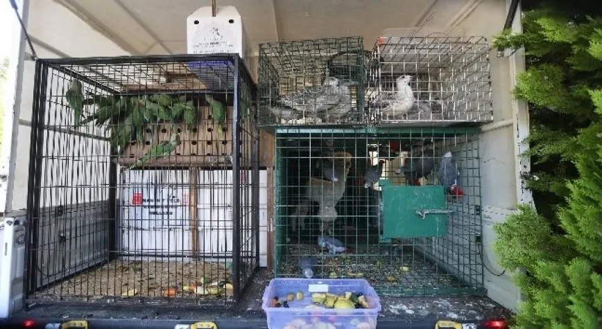 Gaziantep Hayvanat Bahçesi yeni misafirlerini ağırlamaya başladı