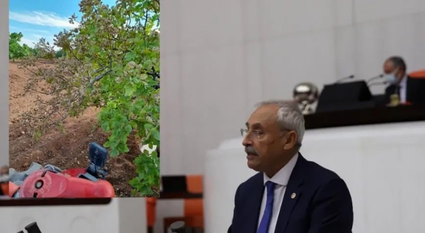 Gaziantep’in fıstık ağaçları TBMM gündeminde