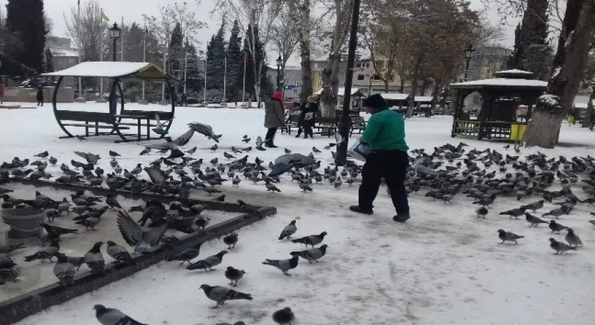 Gaziantep’te sokak hayvanlarını unutulmadı