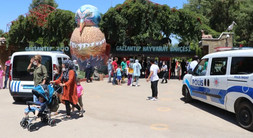 Hayvanat Bahçesinde dehşet saçan Aslan Öldürüldü