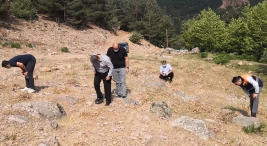 İslahiye’de çekirge istilası sona erdi