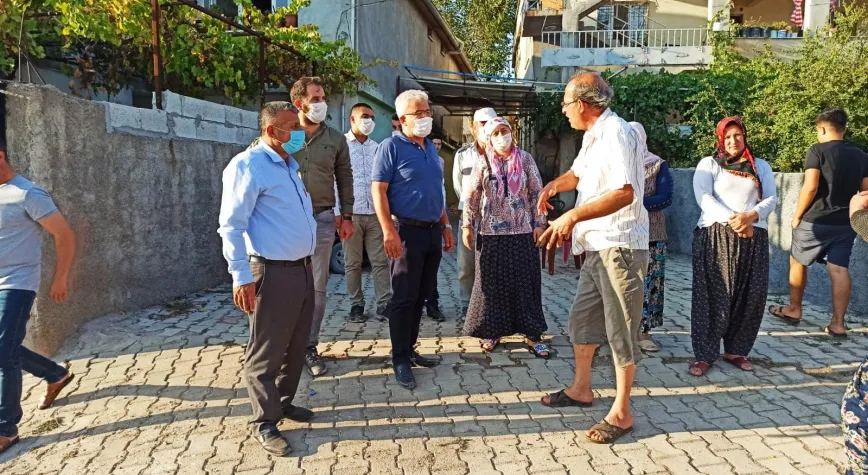 Kavak gönülleri fethediyor…