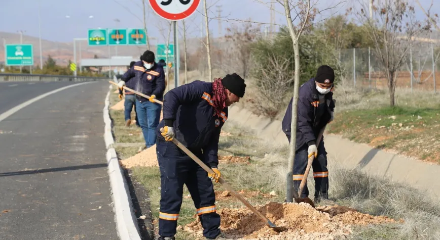 Nizip’te ağaçlandırma çalışmaları