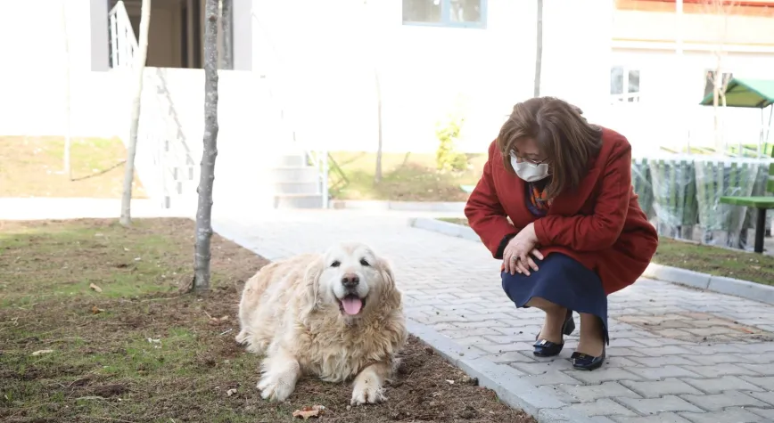 ŞAHİN, YENİ BARINAKTA İNCELEMELERDE BULUNDU