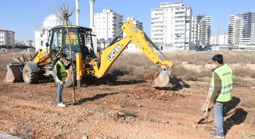 ŞAHİNBEY BELEDİYESİ 4.215.000 AĞAÇ DİKTİ