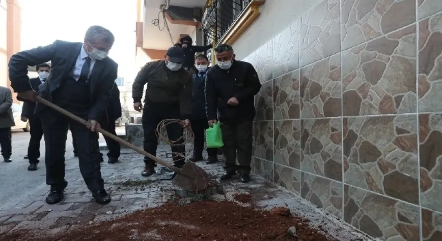 Şahinbey’de 5 bin adet asma fidanı dikildi