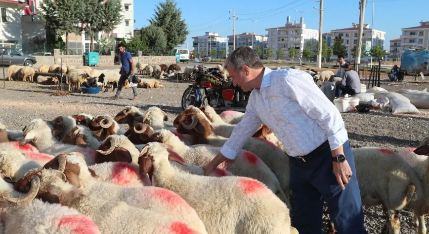 ŞAHİNBEY’DE KURBAN SATIŞ VE KESİM YERLERİ BELİRLENDİ