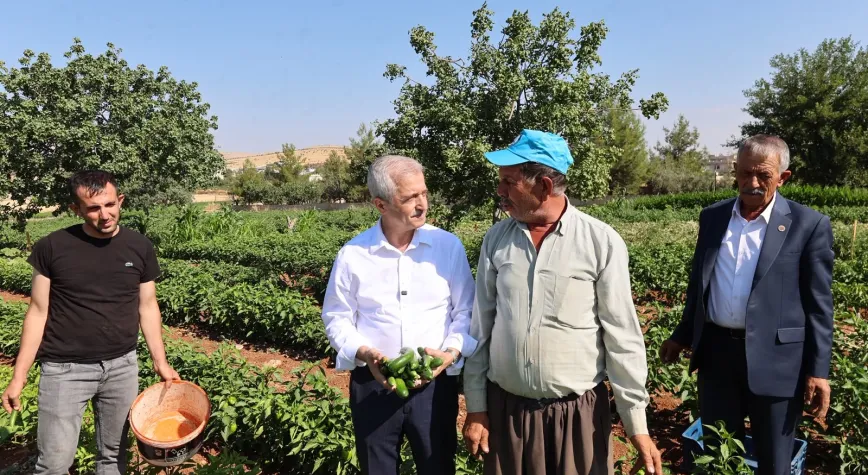 ŞAHİNBEY’DEN ÇİFTÇİLERE 53 MİLYONDAN FAZLA FİDE DESTEĞİ