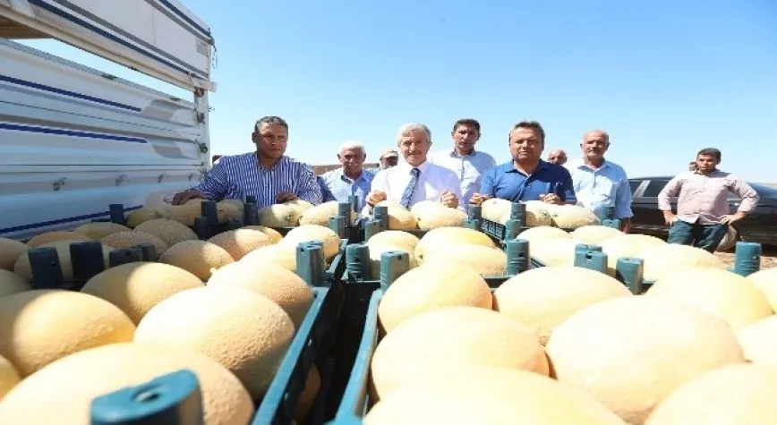 Tahmazoğlu, çiftçilerle ekti çiftçilerle topladı
