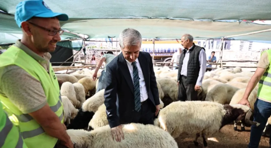 TAHMAZOĞLU’NDAN VATANDAŞIN YÜZÜNÜ GÜLDÜREN AÇIKLAMA
