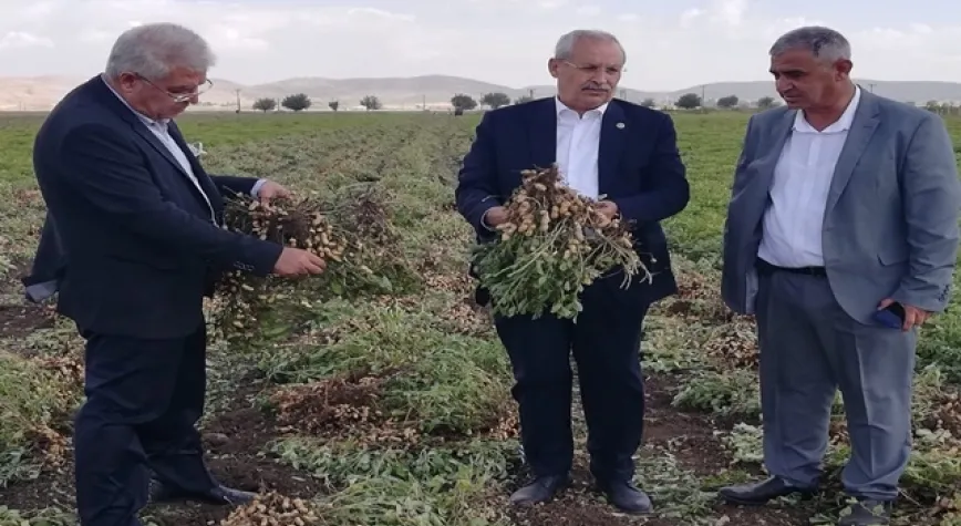 Üreticilerin derdi büyük