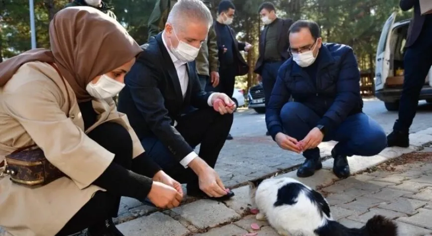 Vali Gül sokak hayvanlarını yalnız bırakmadı